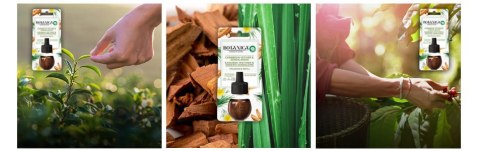 Botanica by Air Wick Karaibski Wetiwer & Drzewo Sandałowe/Caribbean Vetiver & Sandalwood 19ml Wkład Botanica by Air Wick Karaibski Wetiwer & Drzewo Sandałowe/Caribbean Vetiver & Sandalwood 19ml Wkład