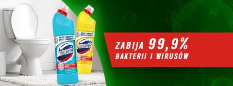 Domestos Płyn Do WC 750ml Atlantic Domestos Płyn Do WC 750ml Atlantic