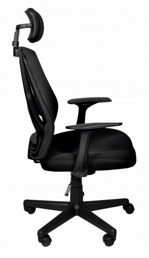 Fotel Biurowy Obrotowy Ergonomiczny / Czarny / MALATEC