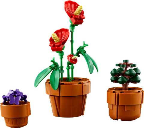 10329 - LEGO The Botanical Collection - Małe roślinki 10329 - LEGO The Botanical Collection - Małe roślinki