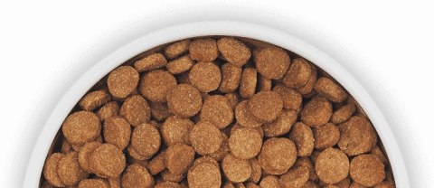 PEDIGREE Adult Professional Nutrition 12 kg z drobiem i warzywami - sucha karma dla dorosłych psów dużych i średnich ras PEDIGREE Adult Professional Nutrition 12 kg z drobiem i warzywami - sucha karma dla dorosłych psów dużych i średnich ras