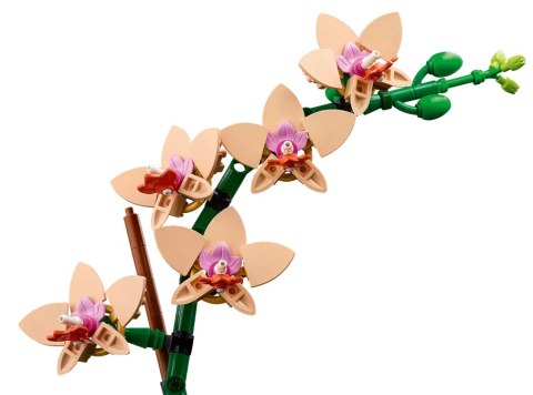 10343 - LEGO The Botanical Collection - Mała orchidea 10343 - LEGO The Botanical Collection - Mała orchidea