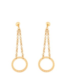 Długie kolczyki z okręgami (P22/LAT/64AU)