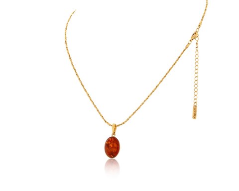 Naszyjnik z bursztynem z kolekcji Amber (C24/TYN/06AU) Naszyjnik z bursztynem z kolekcji Amber (C24/TYN/06AU)