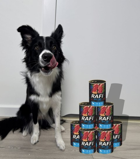 Karma Mokra Dla Psów RAFI z Jagnięciną, Borówką i Żurawiną 400g - 6 szt. Karma Mokra Dla Psów RAFI z Jagnięciną, Borówką i Żurawiną 400g - 6 szt.
