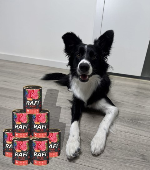 Karma Mokra Dla Psów RAFI z Wołowiną, Borówką i Żurawiną 400g - 1 szt. Karma Mokra Dla Psów RAFI z Wołowiną, Borówką i Żurawiną 400g - 1 szt.
