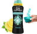 LENOR Perełki Zapachowe 570g XXL Fresh